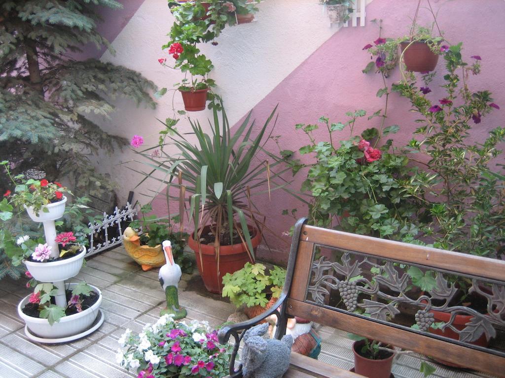 Art Guest House Orchidea Поморие Экстерьер фото
